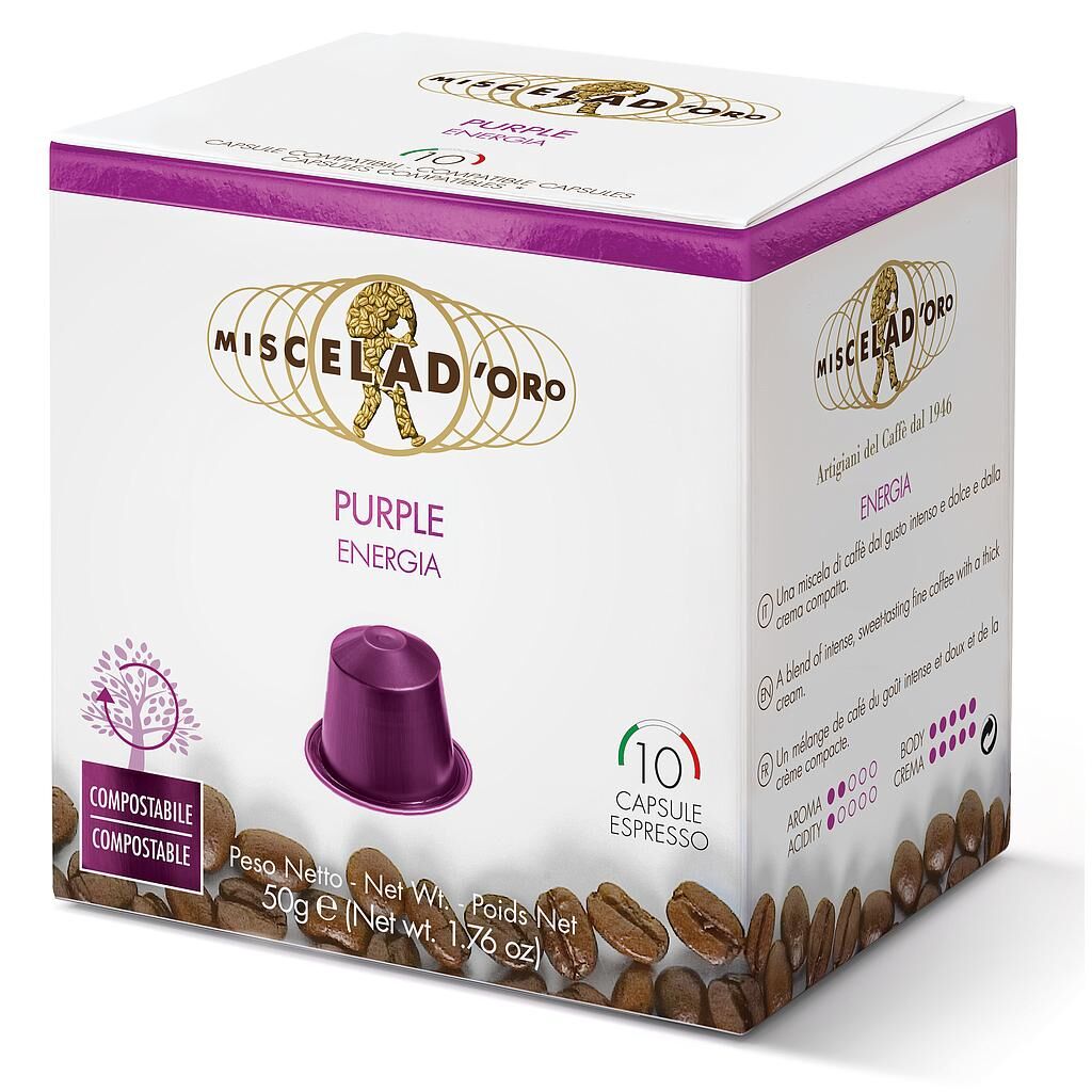 PURPLE CAPSULE NES