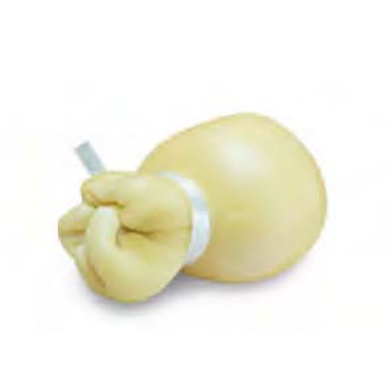 SCAMORZA 250G