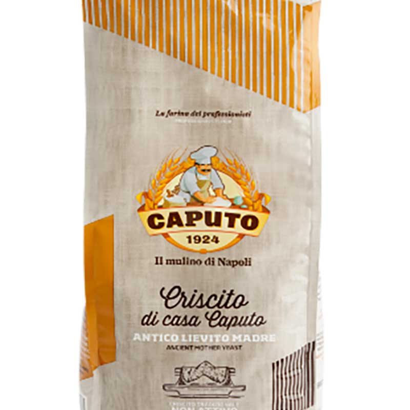 Levadura Natural Seca Criscito